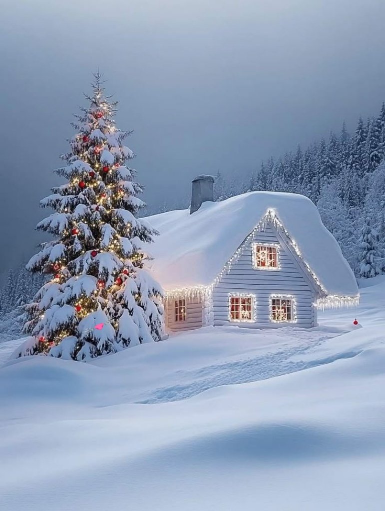 🤍❄️Beautiful 🤍❄️