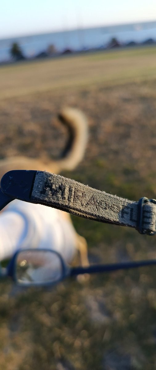 Los perdió algún niño en la Aduana de Oribe,  RT a ver si se los puedo devolver

Dm

<a href="/diegodelacurva/">Min. Diego González González</a> 
<a href="/robertmoreactor/">robert moré</a> 
<a href="/cabezamartini/">Diego Martini Lemos</a> 
<a href="/InvernizziMario/">Mario Invernizzi</a> 
<a href="/jjavierdeleon/">Javier de Leon 🇺🇾</a>