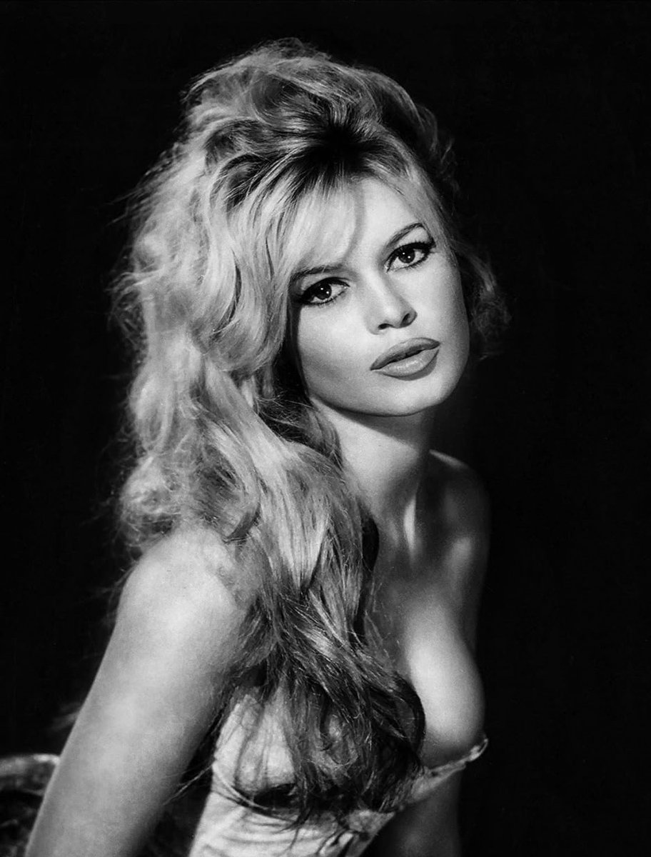 Ceren Çıplak Drillat tweet media