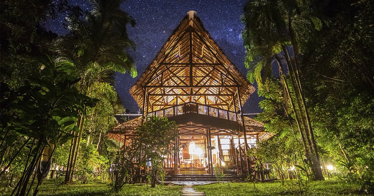 Rainforest Expeditions tweet media