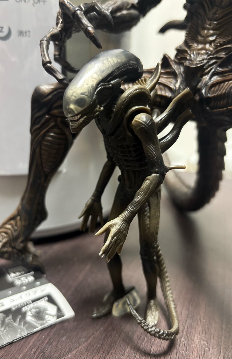 おやすみなさい🌙