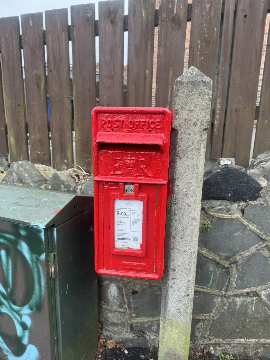 Matthew Shanks tweet media