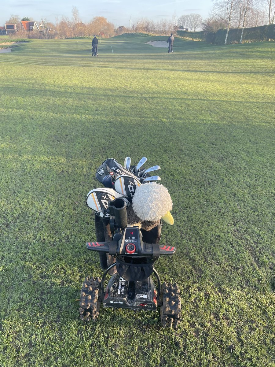 Marco Schouten tweet media