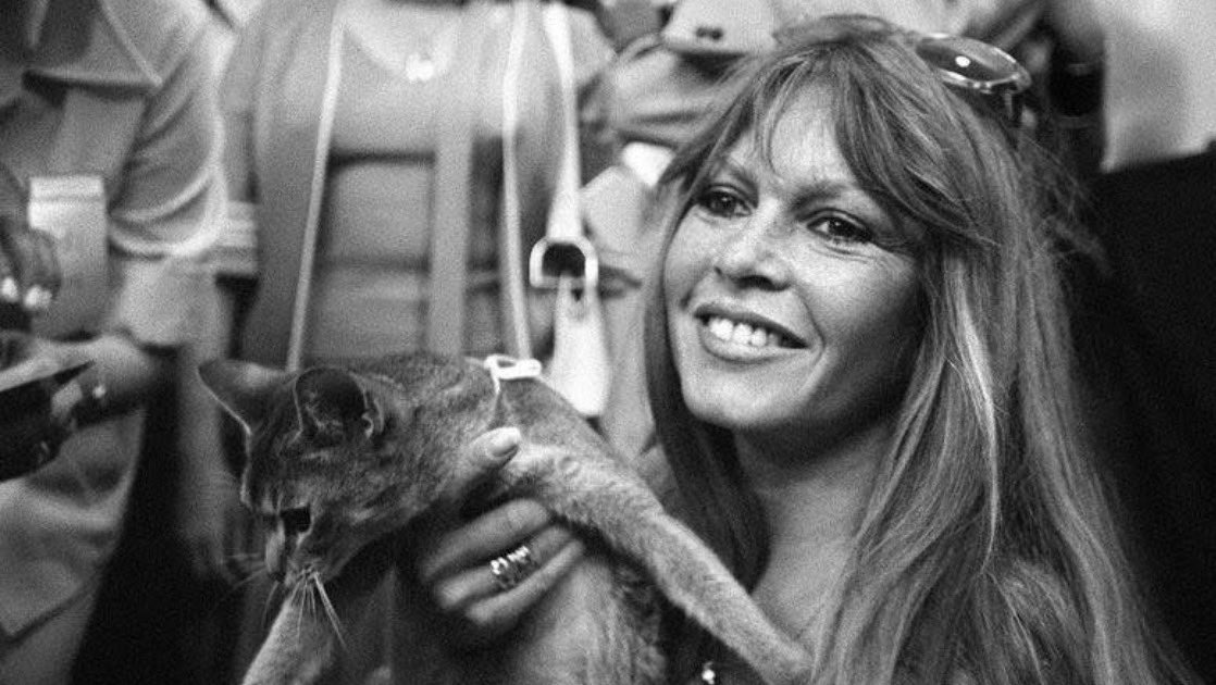 GabrielColombet's tweet photo. Icône du cinéma français, symbole de liberté, femme engagée et voix infatigable pour la cause animale.
Son talent, son audace et ses convictions ont laissé une empreinte indélébile dans l’histoire de la culture française et au-delà. @FBB_Officiel  #Brigitte_Bardot #rip https://t.co/0ys5llcPuP