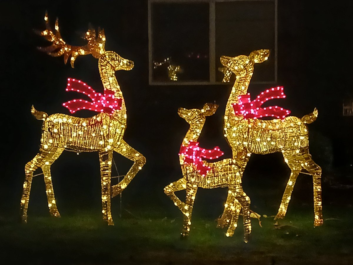 MaraJadeSkywalk's tweet image. Out seeing Christmas Lights, walking light tails, and Christmas displays with my family. 🎄🤍✨️🌌 

#Christmas #TimeWithFamily #ChristmasWeek