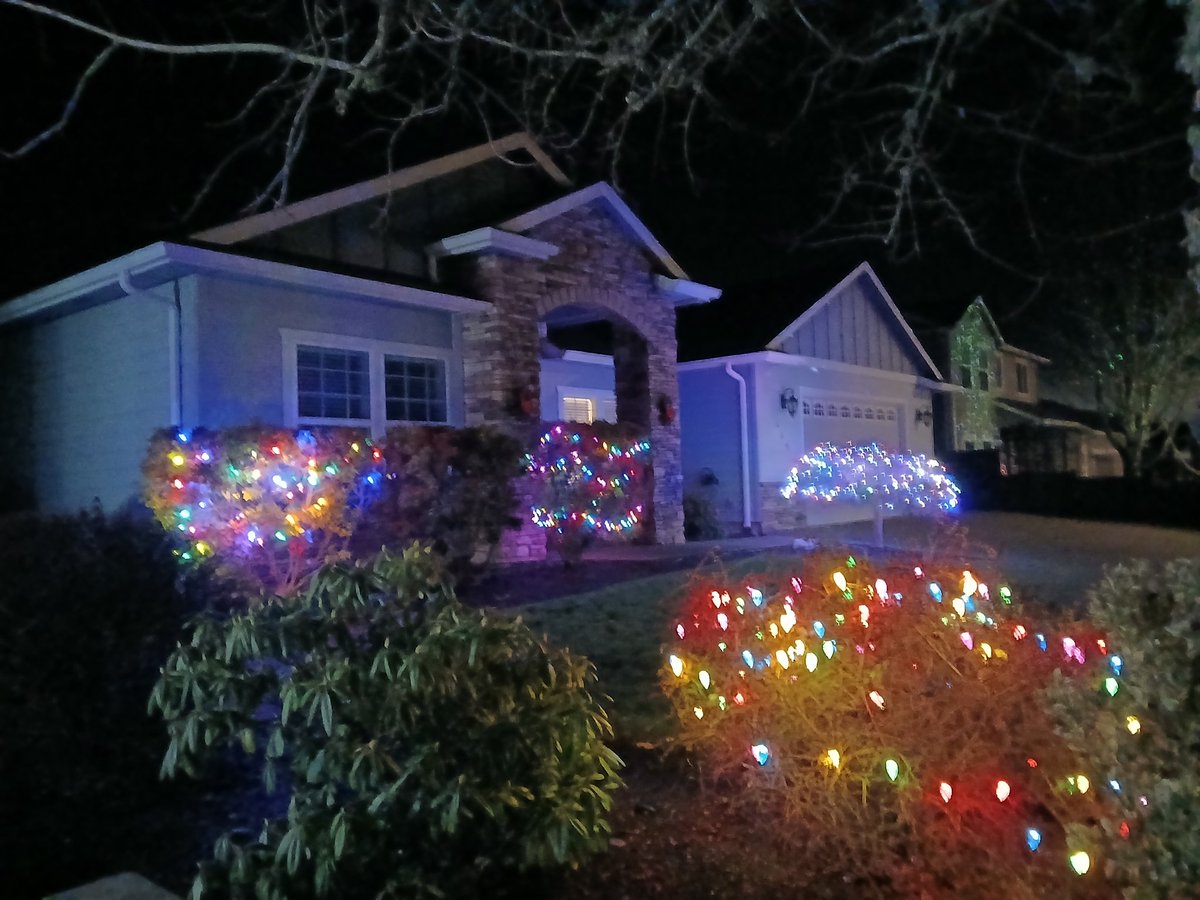 MaraJadeSkywalk's tweet image. Out seeing Christmas Lights, walking light tails, and Christmas displays with my family. 🎄🤍✨️🌌 

#Christmas #TimeWithFamily #ChristmasWeek