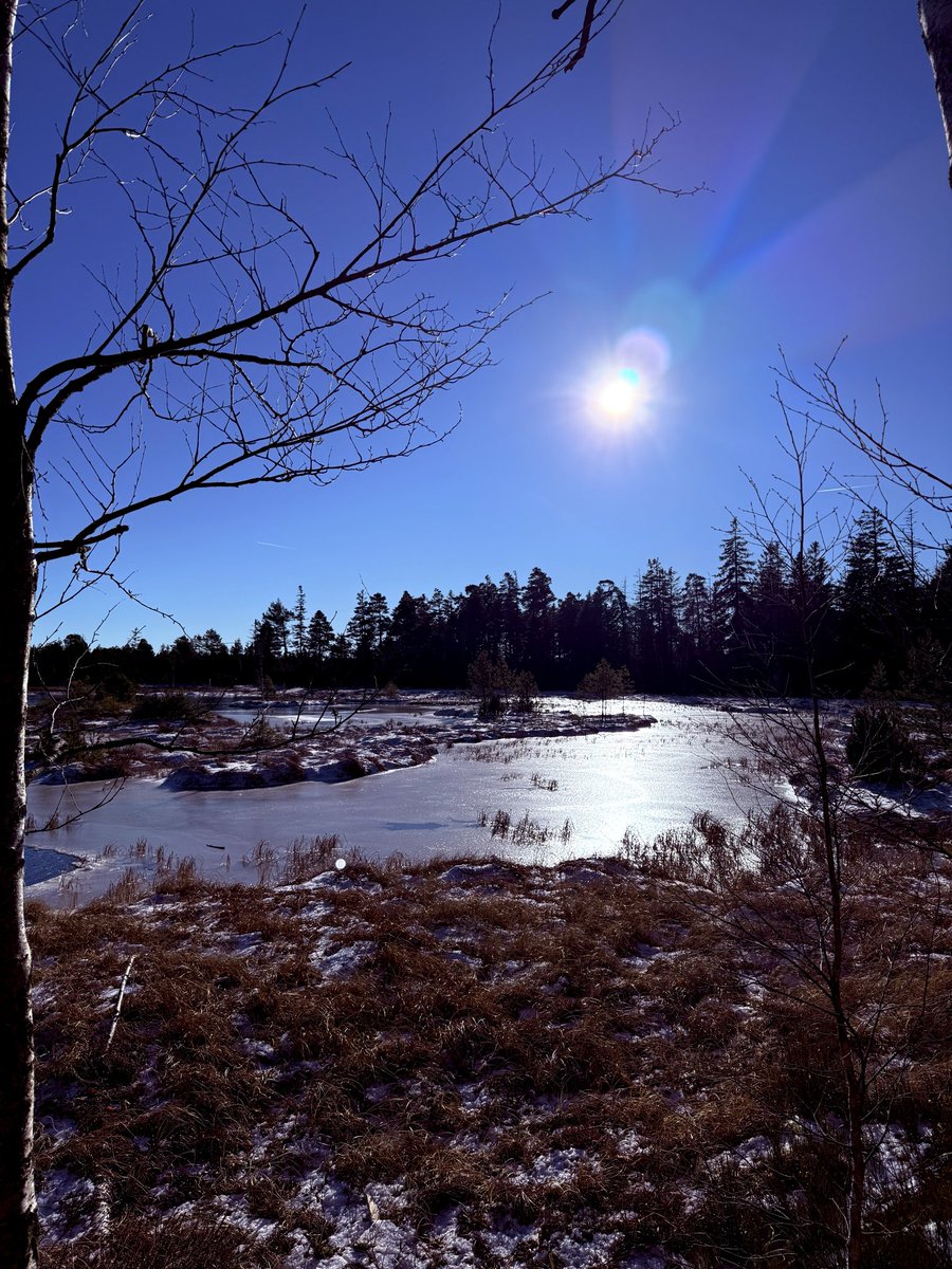 bodo1893's tweet photo. Kaltenbronn - Wildsee - Grünhütte #zwischendenjahren #HeimatLiebe #theländ #badenwuerttemberg #scheewars https://t.co/FJza0LYT0S