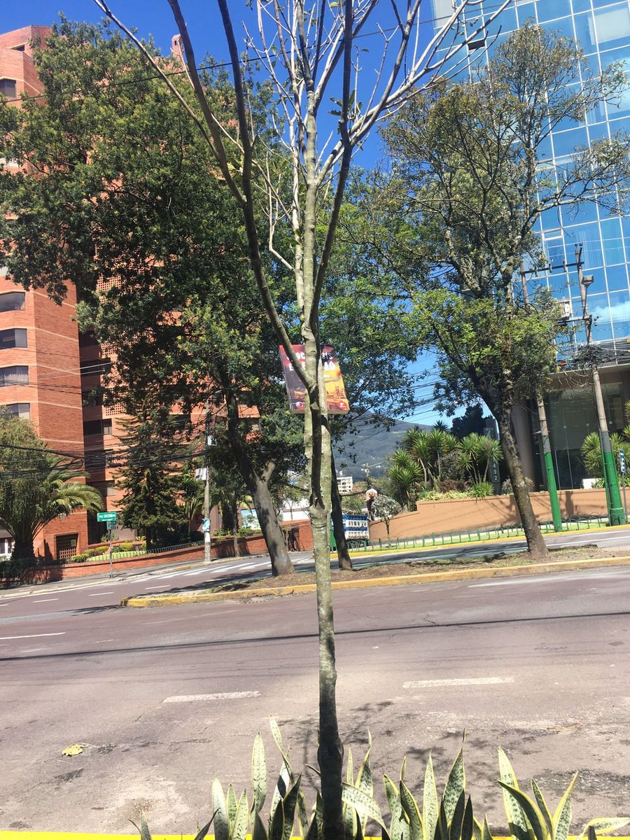 VicGete's tweet image. Fotos de #ApocalipsisenBilbao que me mandan #terror #zombies #novela #libro ¡Gracias!