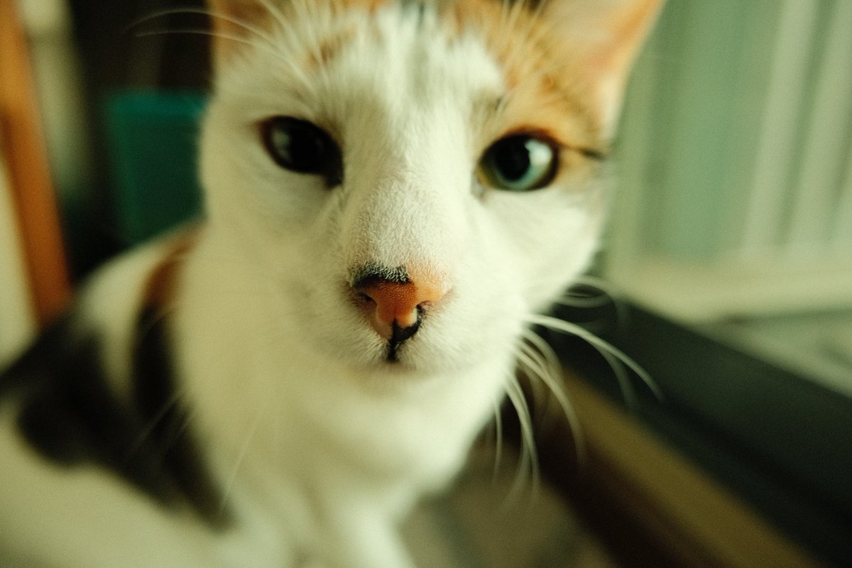 dbaker's tweet image. today in bangkok #fujifilm #Thailand