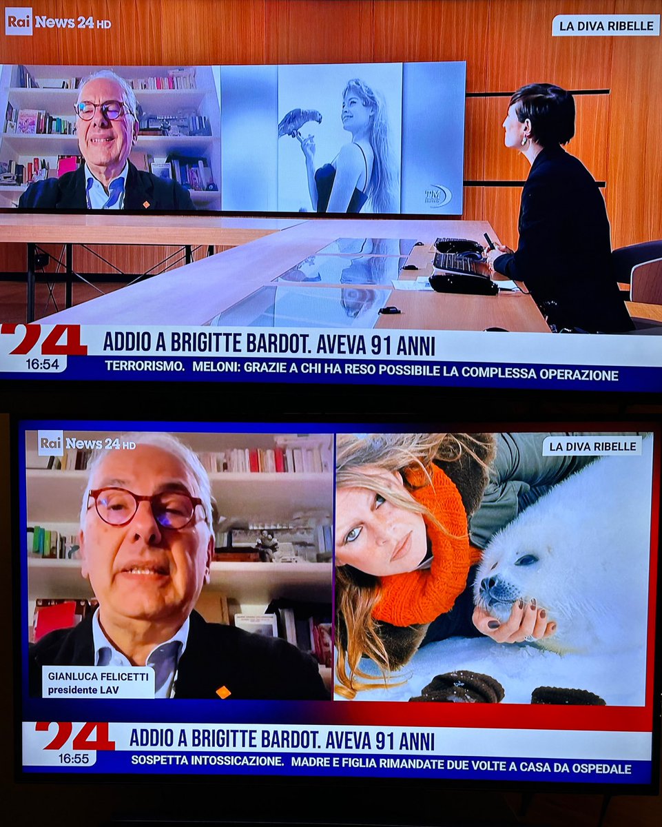 Eccola raiplay.it/dirette/rainew…