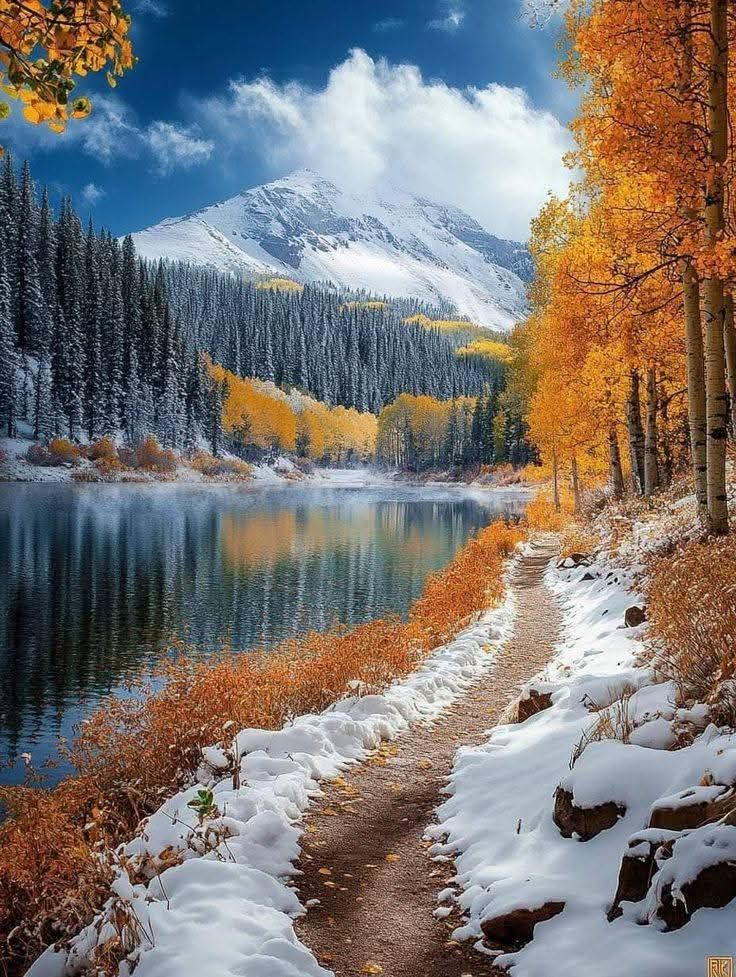 Aleksandar Mitrovic (@aleksan52094351) on Twitter photo 