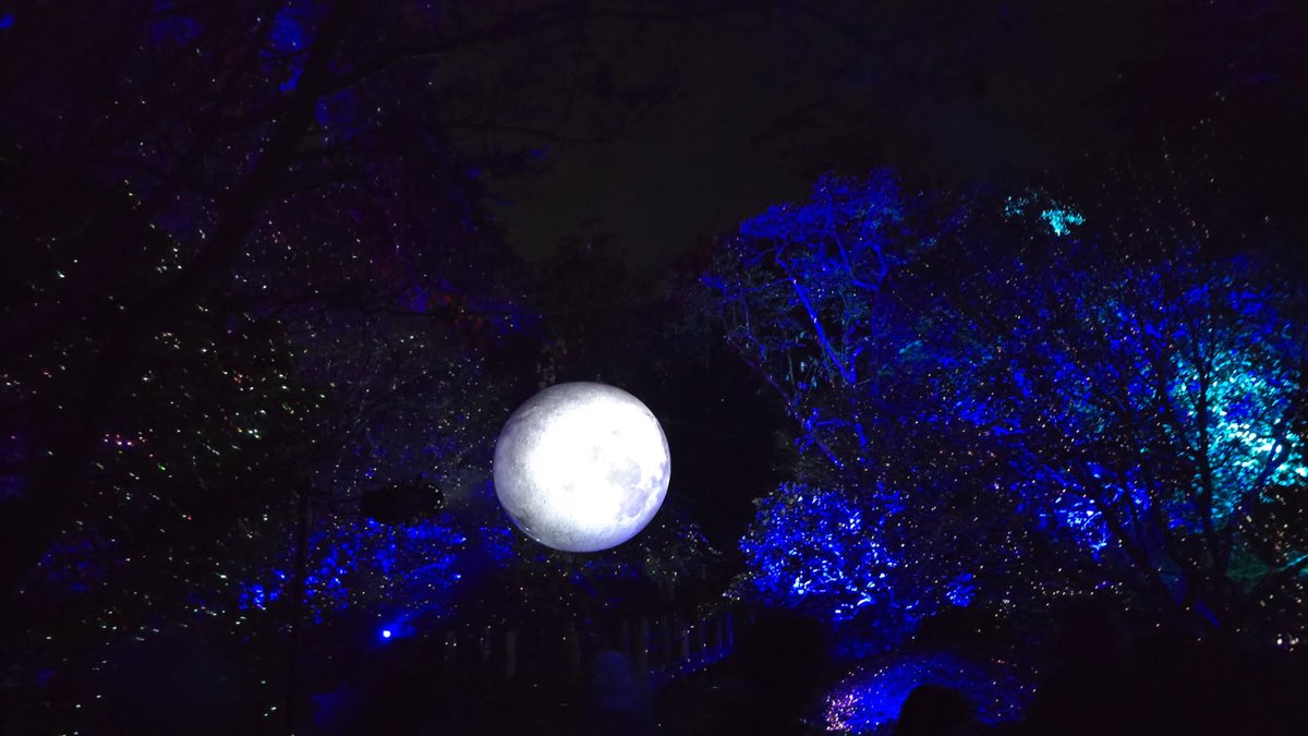 RayAgua1031's tweet photo. #SanFrancisco Loved #Lightscape https://t.co/lDBtb1izLL