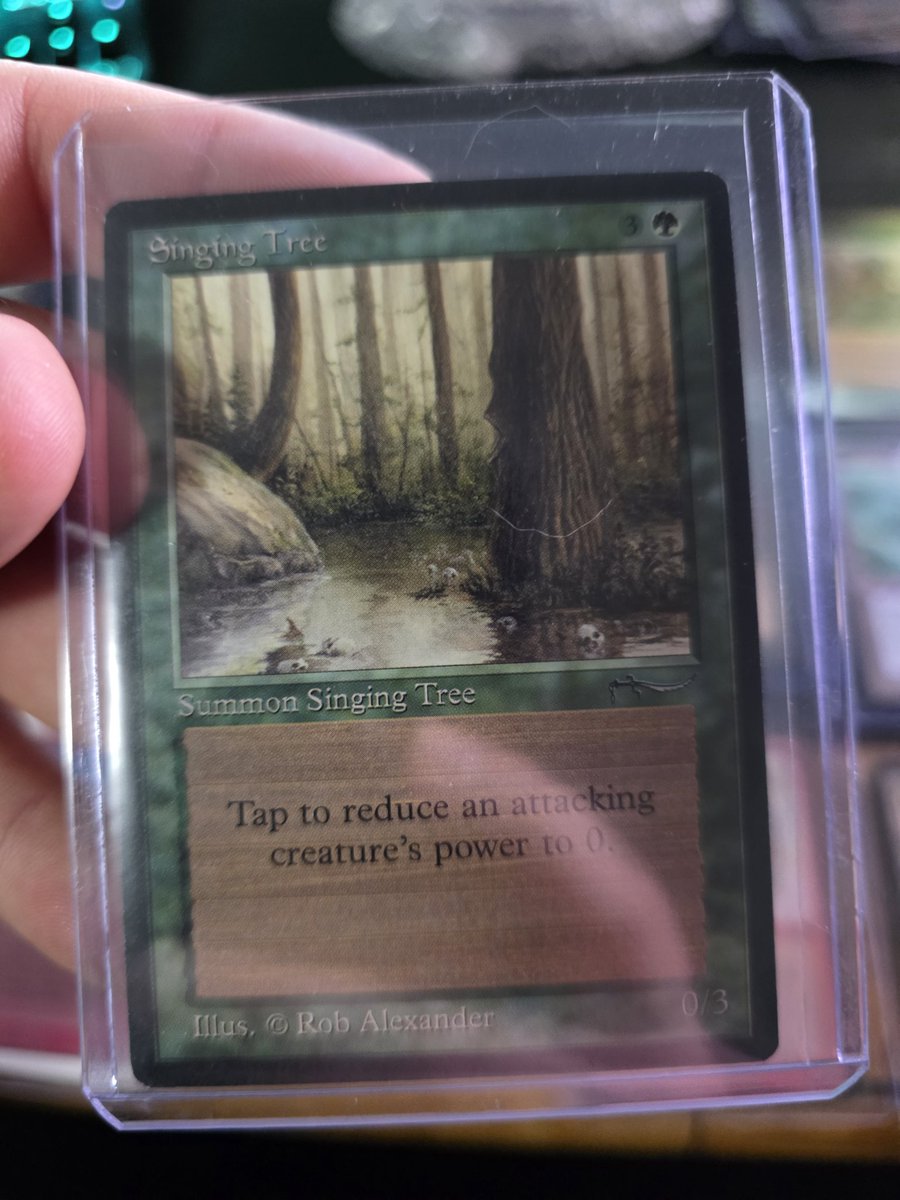 werdism's tweet image. Moreee heavyyyy vintage MTG! #copyartifact #fork #urzas collecting #mtgcollecting #vintage #pokemon #cardcollecting #collection #ringofmaruf #singing tree #tawnoscoffin #metalworker #timespiral