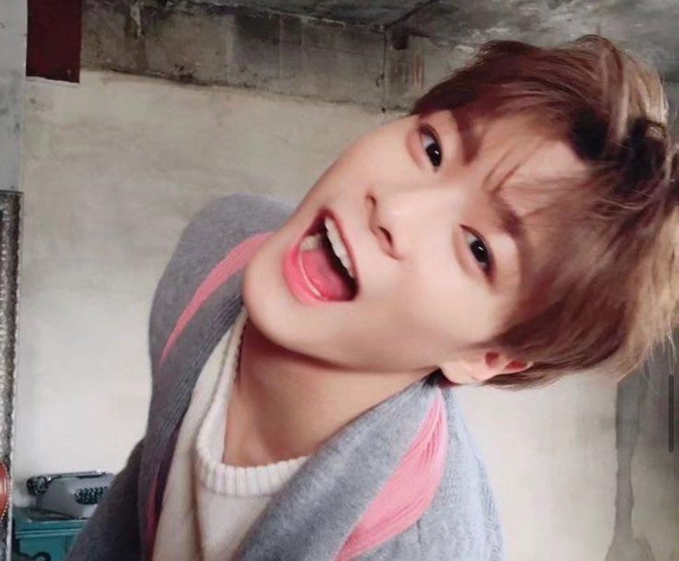아기로하🧸 tweet media