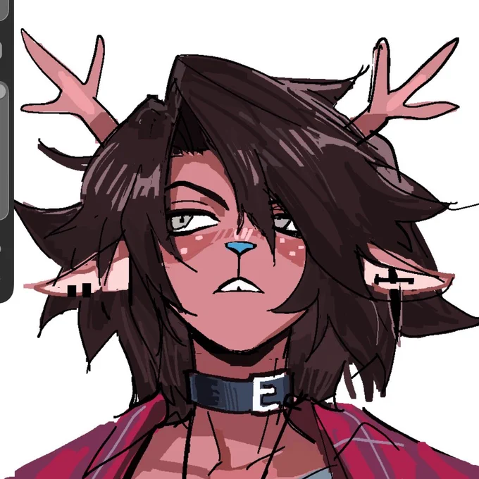 Dess portraits