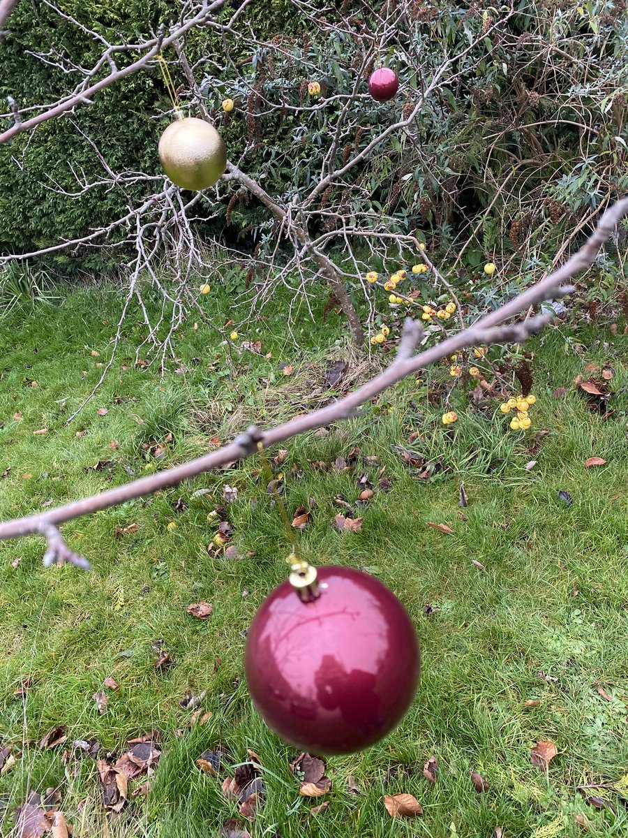 Andrei Zvelindovsky tweet media