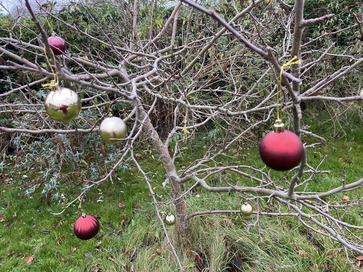 Andrei Zvelindovsky tweet media