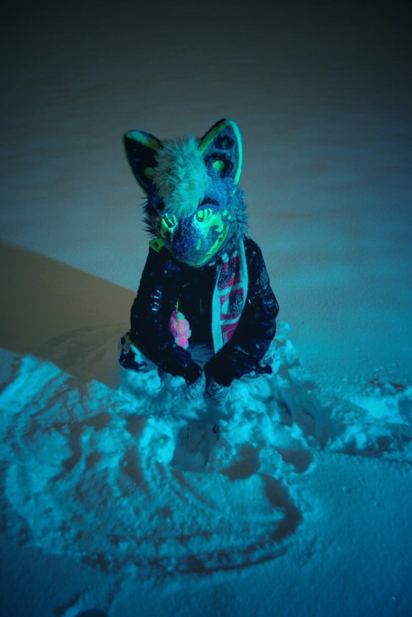 Digit 🔜 FWA tweet media