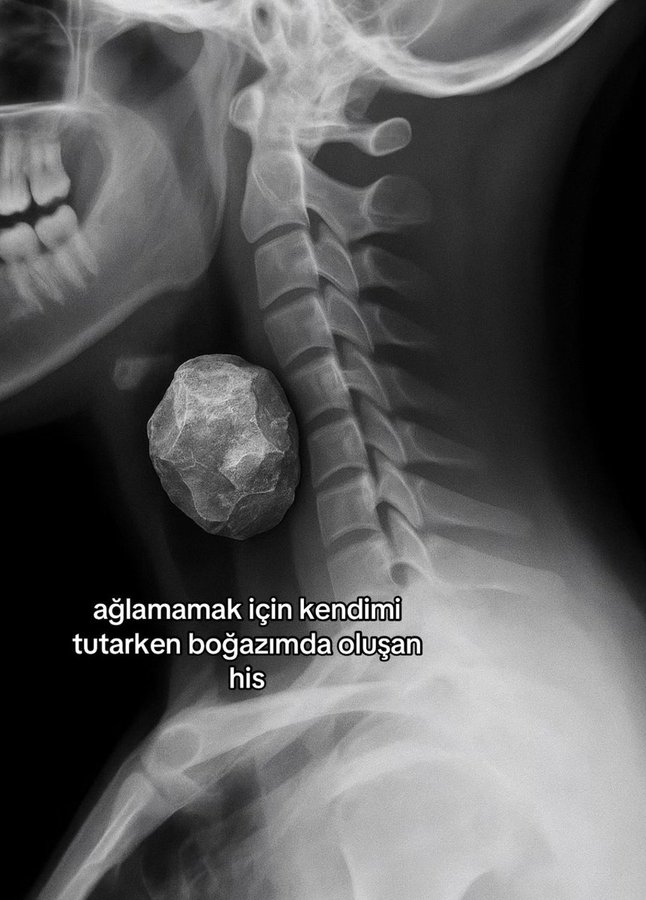 Arşiv (@arsivbir) on Twitter photo 
