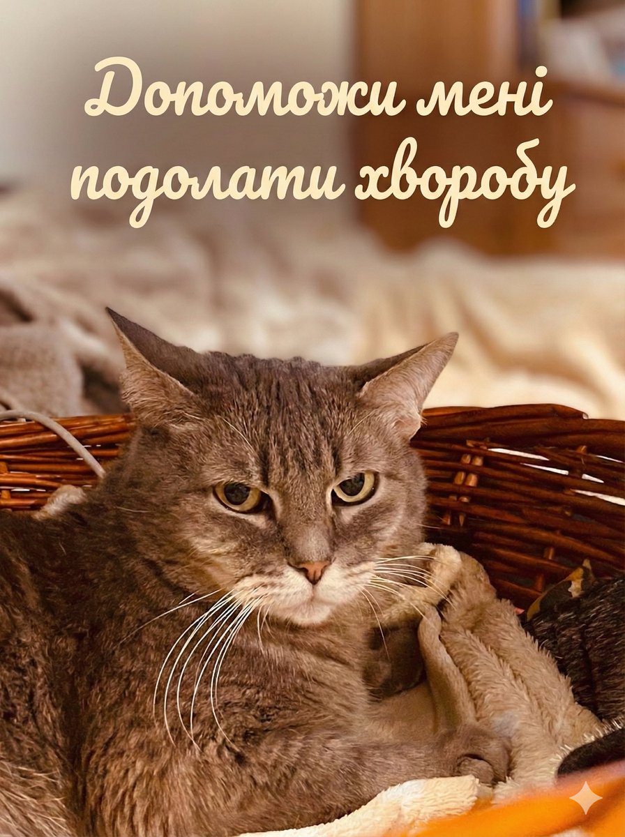 Вибачте будь ласка, що знову нагадую, але нам не вистачає ще 30.000 на лікування Моллі 🥲 від фіп 

Всі звіти по витратам є під закріпленим постом ❤️

Останній тиждень донатів майже немає
🙏 send.monobank.ua/jar/97784vkEWr