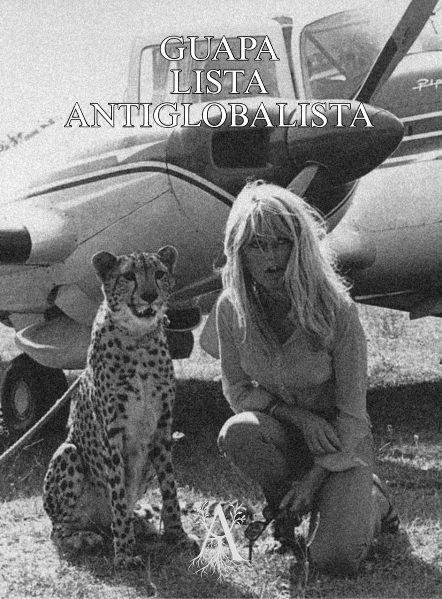 ARRAIGO (@arraigo__) on Twitter photo 