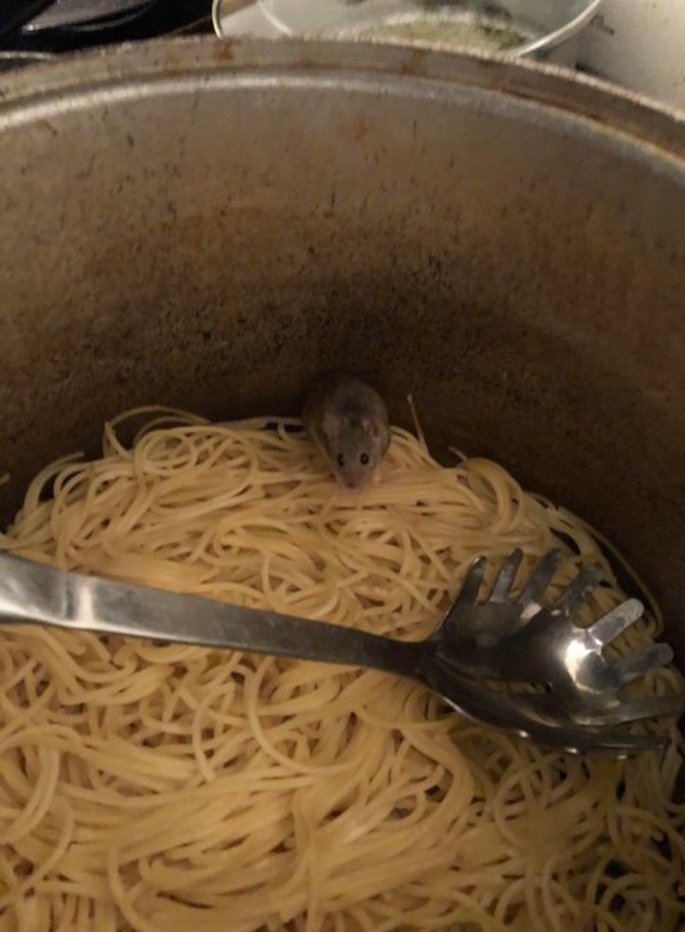 Akşamın kalitesizliği...