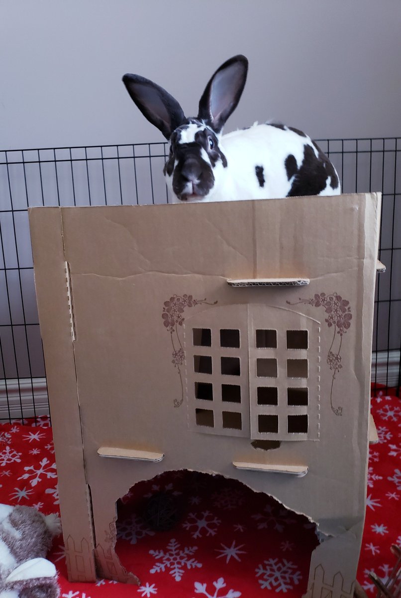 ttas's tweet image. Happy Sunday! It's a relaxing on your rooftop deck kind of day.