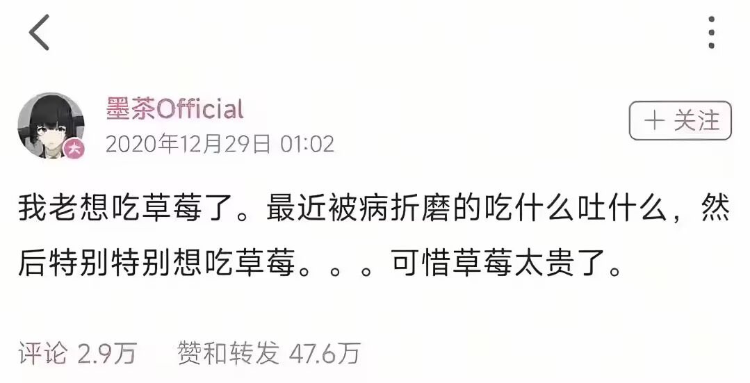 雲鳩 tweet media