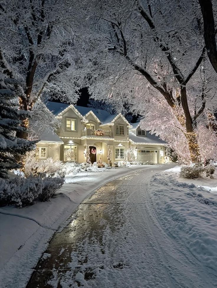 Beautiful flowers 🪷 (@annarblk) on Twitter photo 