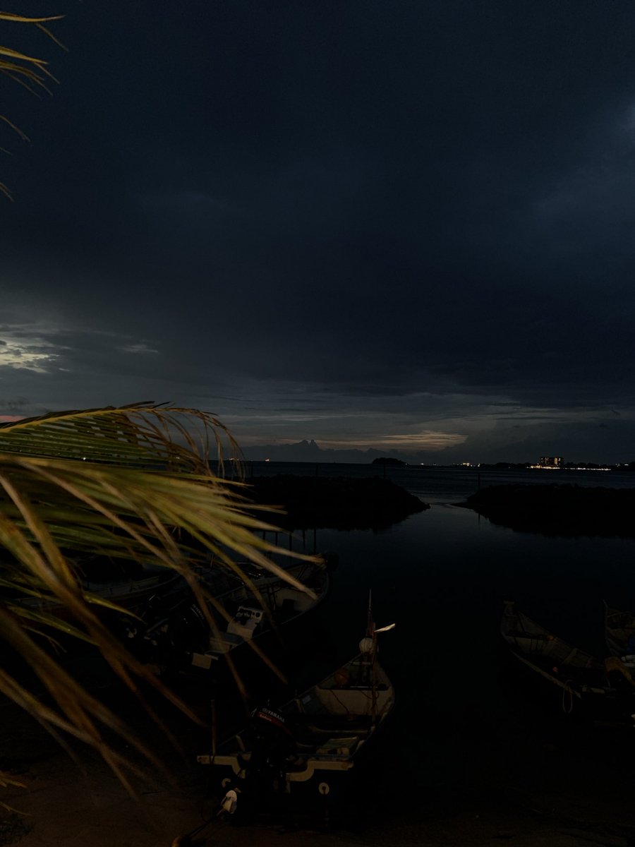 ehalja's tweet image. 