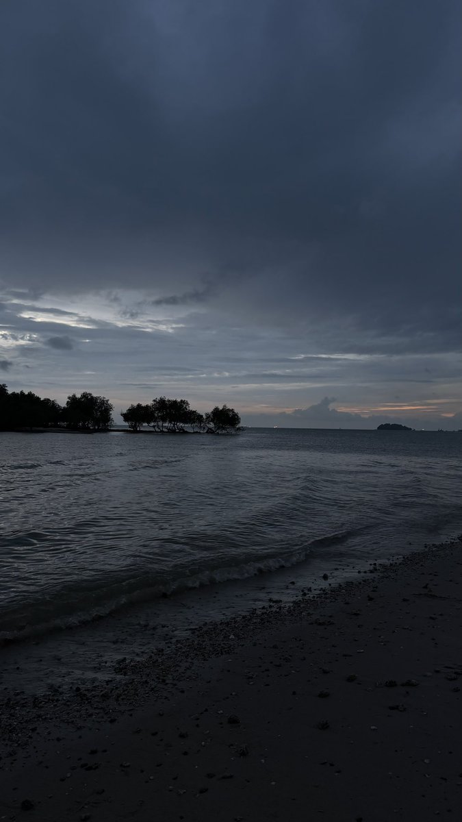 ehalja's tweet image. 