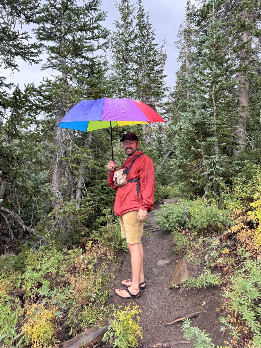 bargain pothole tweet media