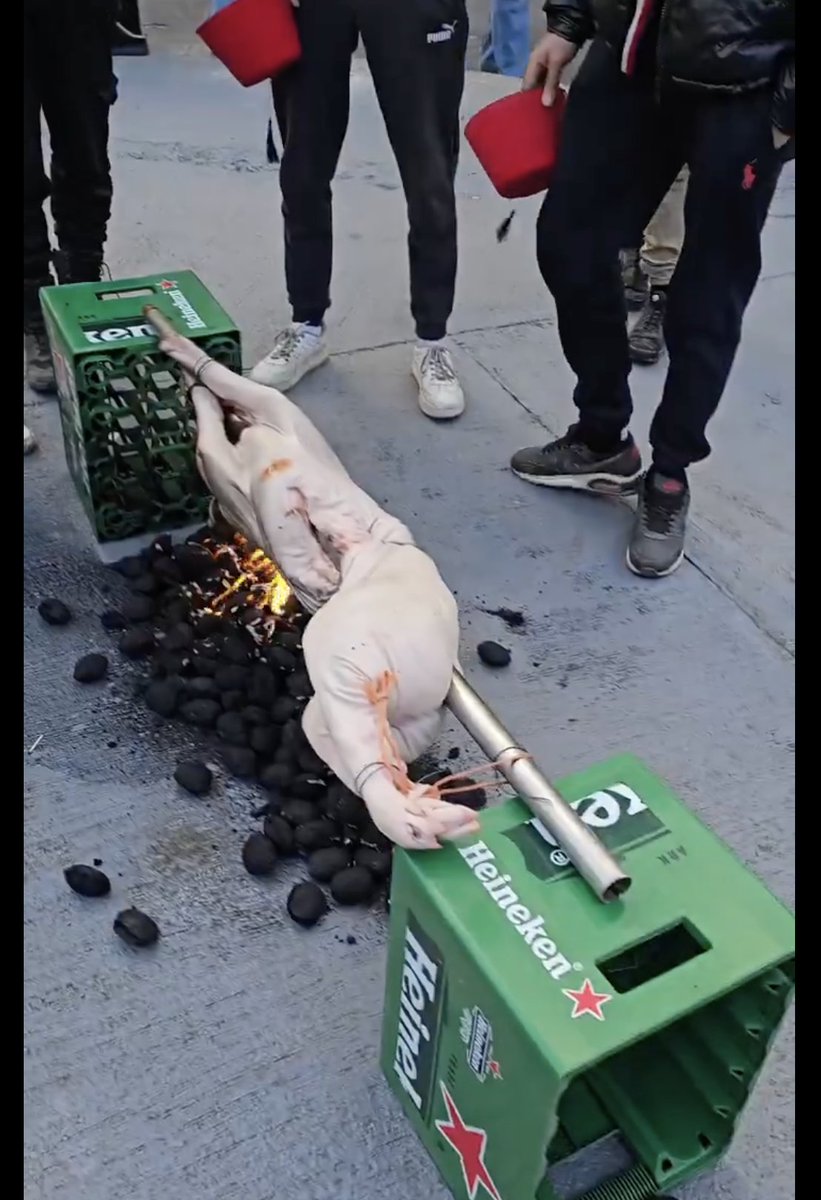 СНС држава, колоризовано: