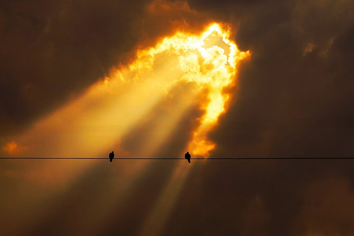 arthextic's tweet image. one of the hardest photos i have taken