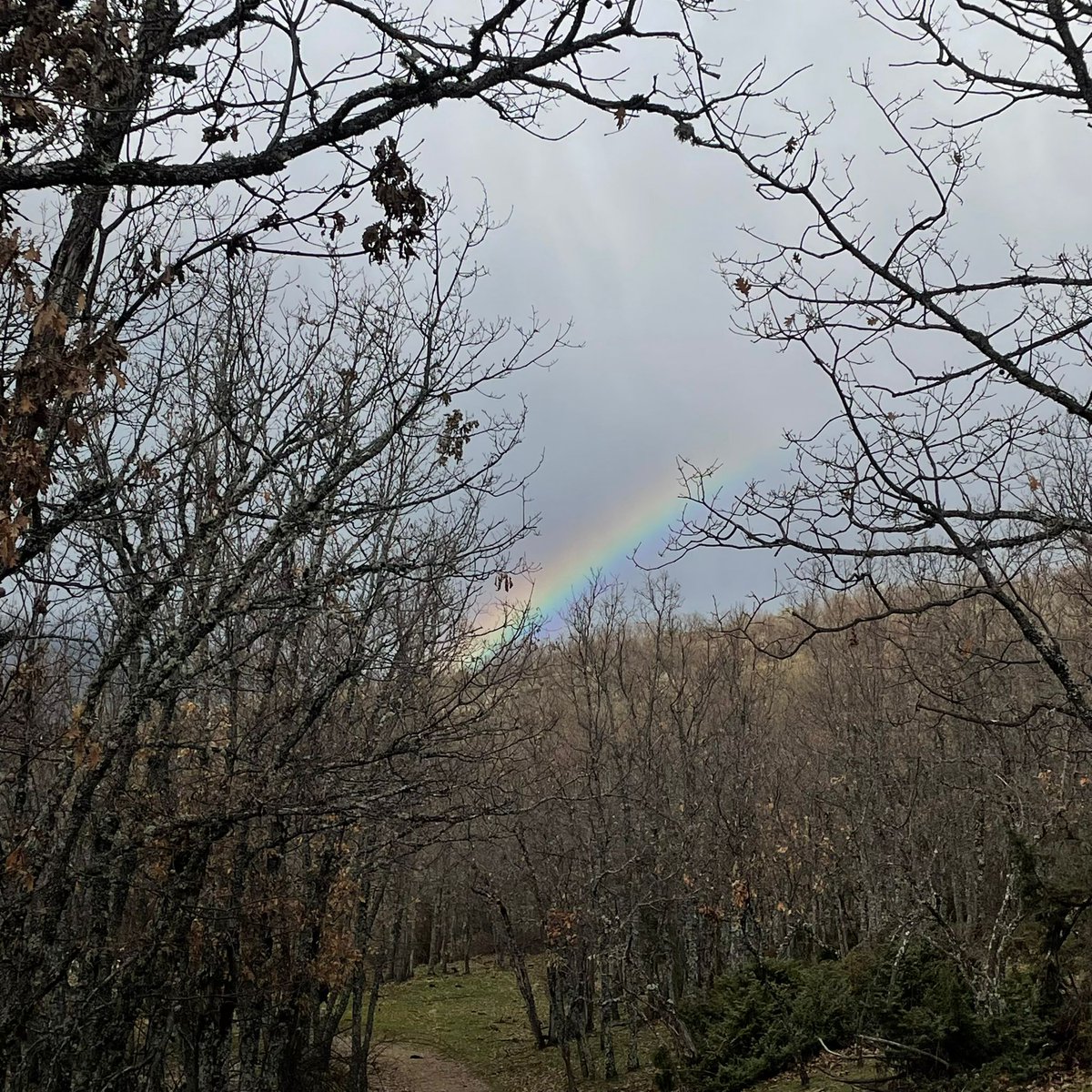 Última salida del 2025, senderismo por la sierra de Rascafria