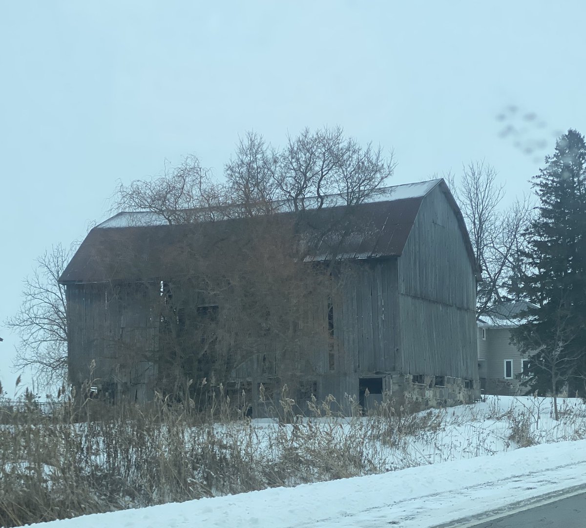 Afternoon Twitter Friends 😊🙋🏻‍♀️🌲