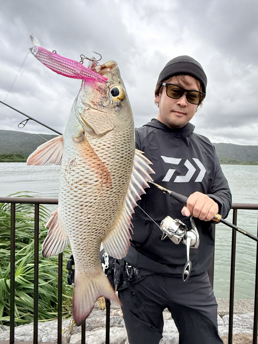 GONZO＠（hayaken) (@GONZOUDAIWA) / Posts / X