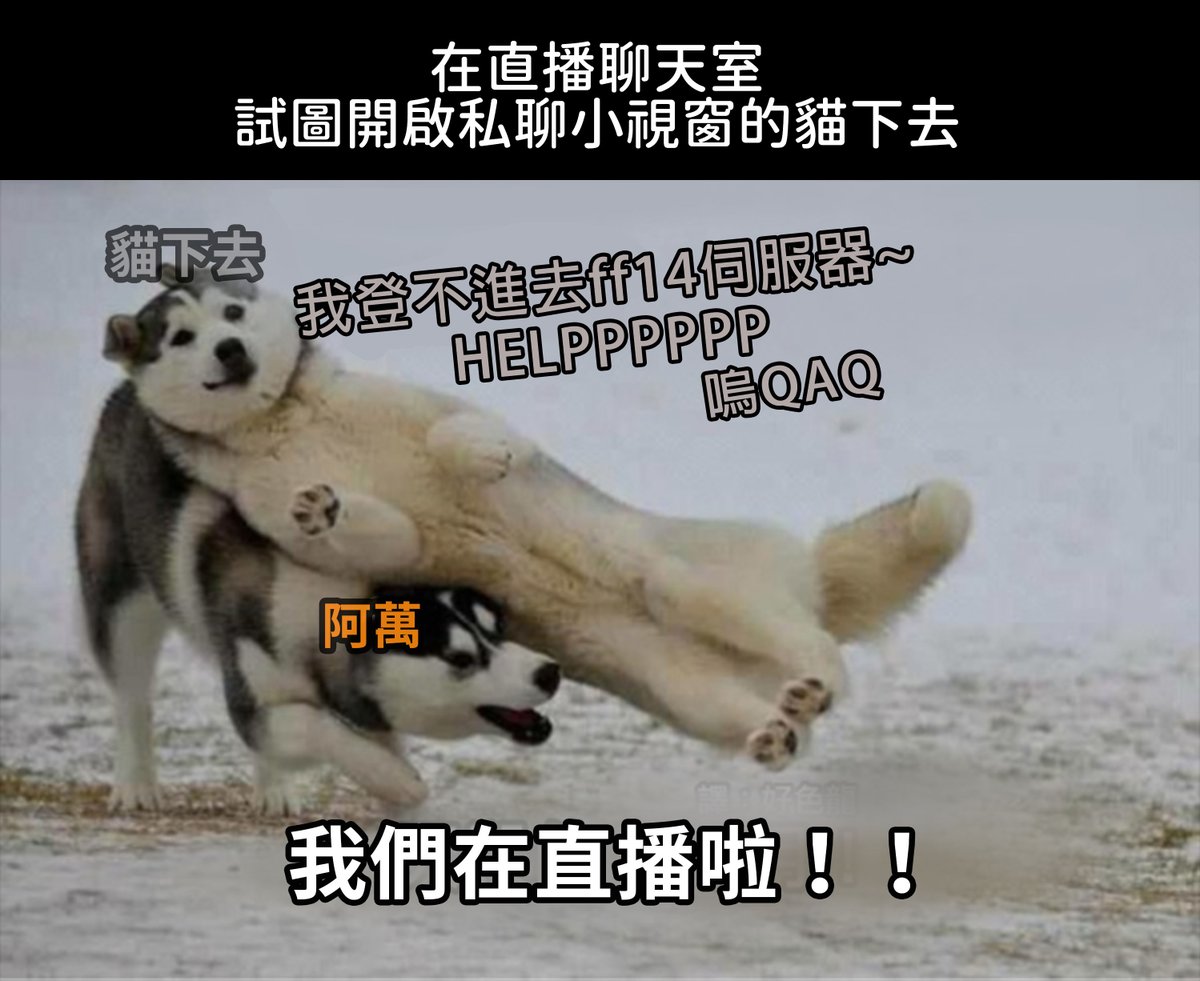 Yi-chen沉沉🍩 tweet media