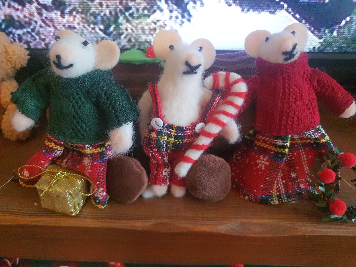 suzysoosoo's tweet photo. Daughter felted they little white mice decorations! Love them https://t.co/VCSVJiAdhq