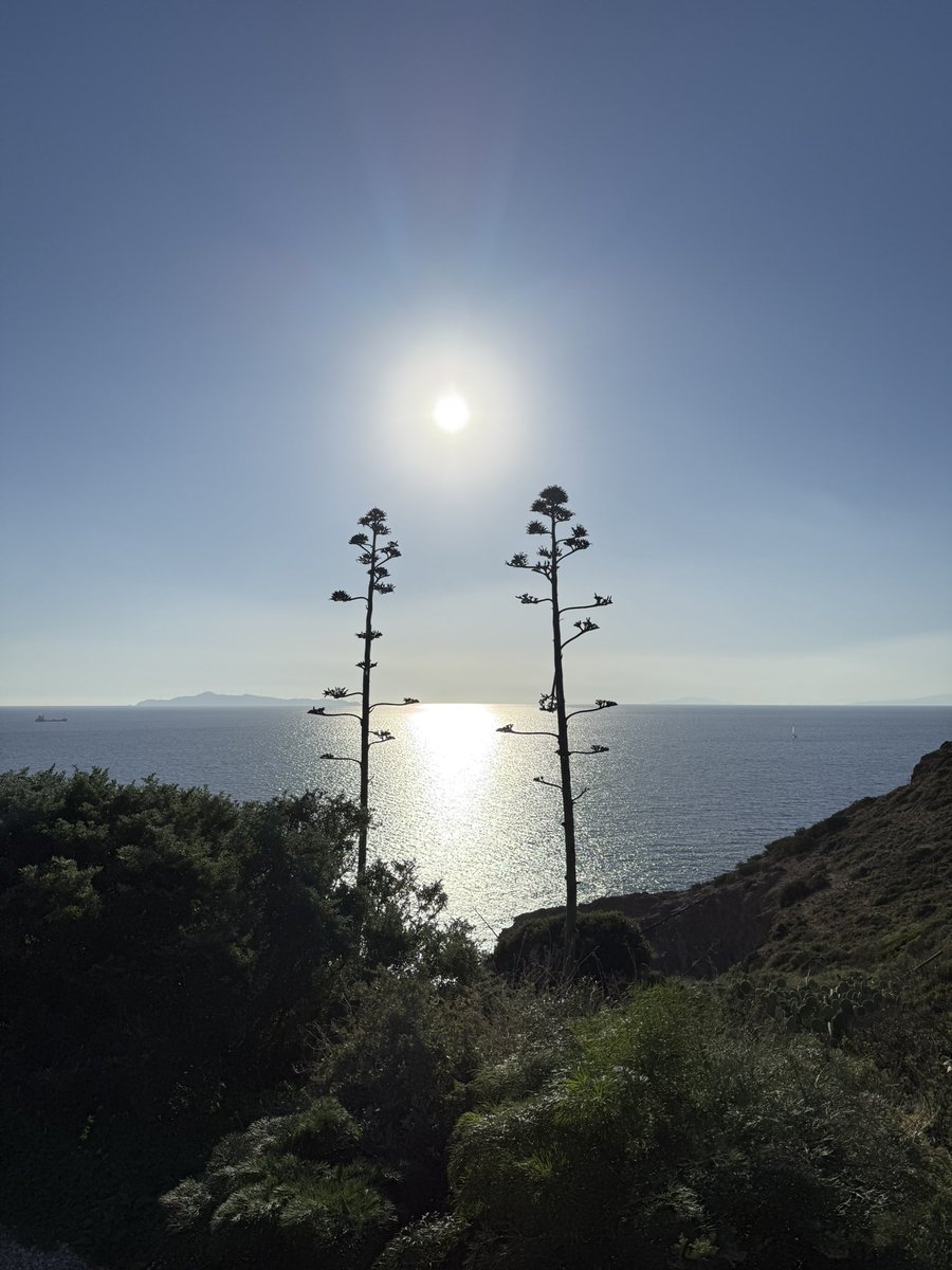 Für alle, die alte Steine mögen und die Weite der See