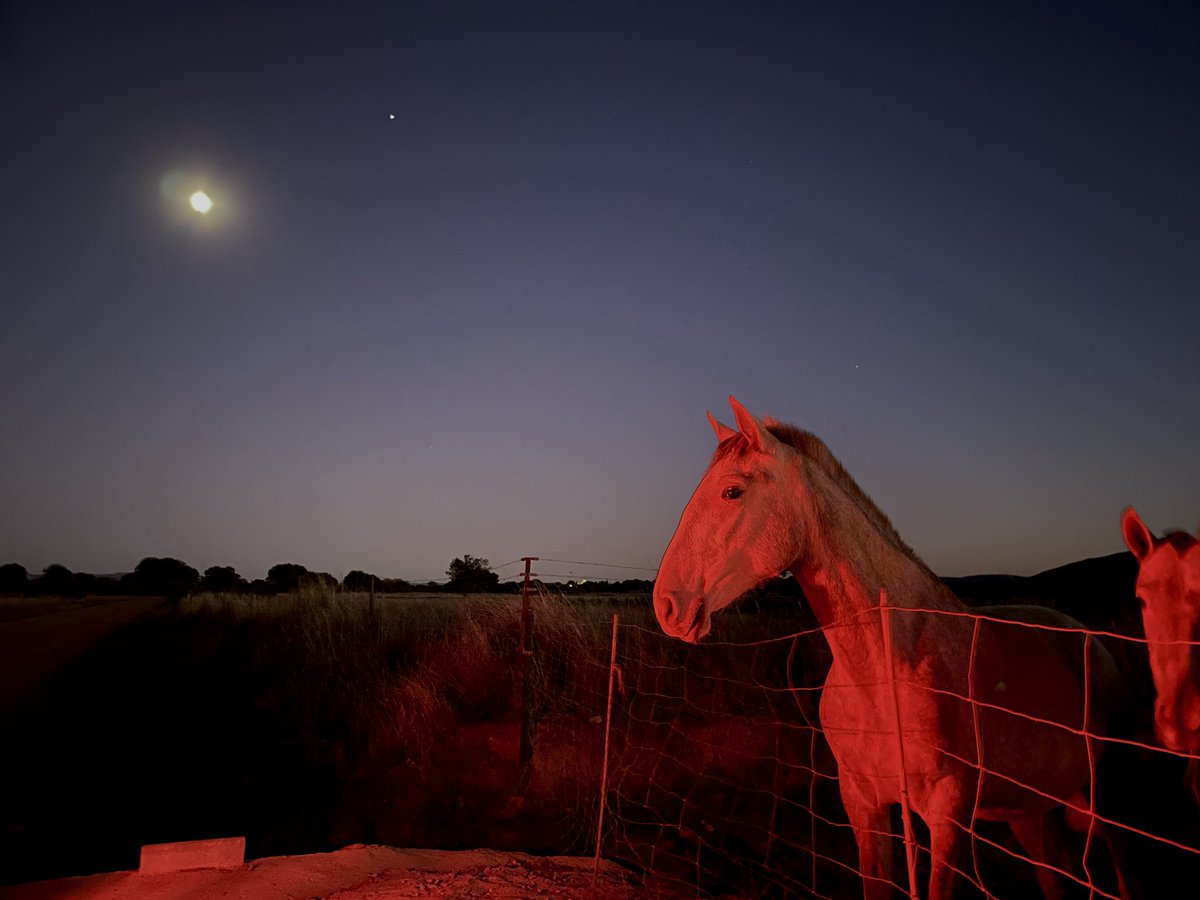 one of the hardest photos i have ever taken