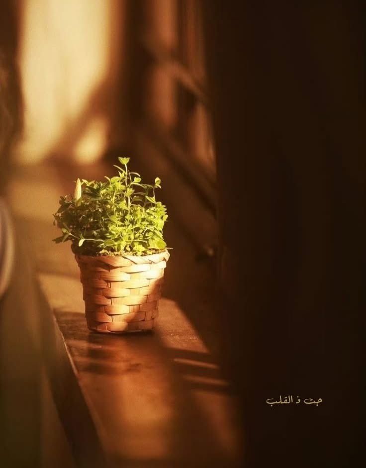 كل من دَخَل قلبك ولم يزدك نورًا،
فهو ضيف عابِر،
لا تترك له مفتاح الباب.