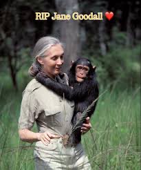 Daniel Logan tweet media