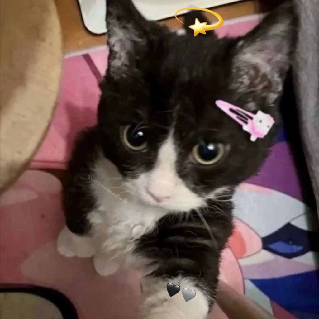 นึม ส่อง ซั่ม !