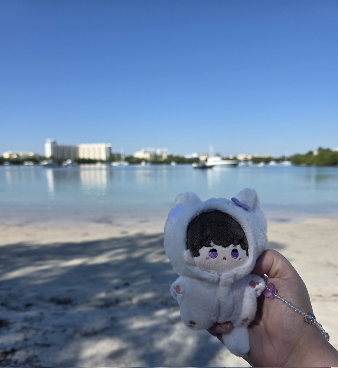 12/1 専用ପ꒰⑅•ᴗ•。꒱໊੭♡ ✨🦕new_LINE_スタンプ🦕✨ kyoryu_lifeの新しいLINEスタンプです