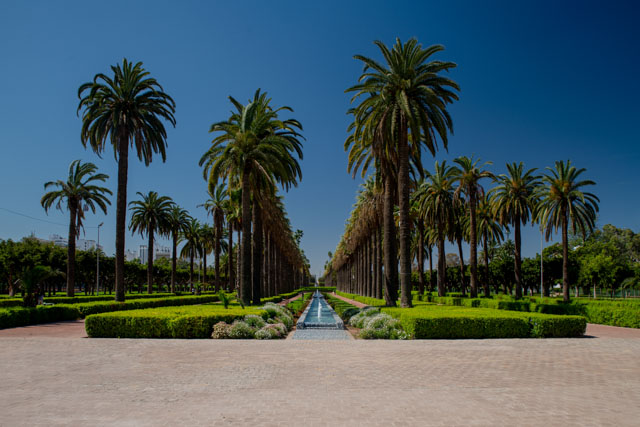 photos_dsmith's tweet image. The #appeal of #palmtrees along the #atlanticocean #coast is a draw for many to #CasaBlanca in #Morocco this garden was used by many to keep cool in the #hot #sun. Shot by a #British #awardwinning #photographer and #photography #business. See more at darrensmith.org.uk