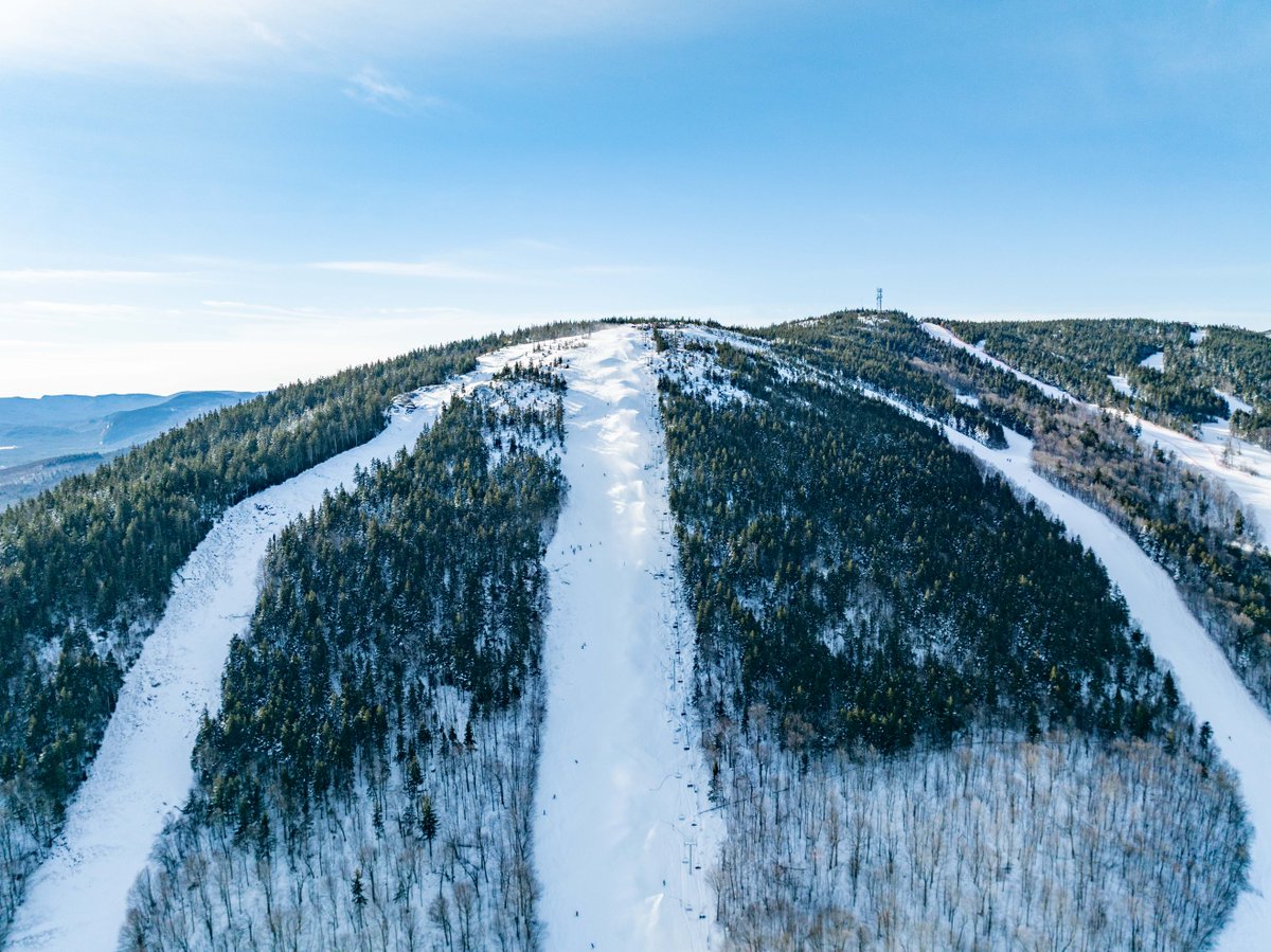 sundayriver's tweet image. White Heat has entered the chat.