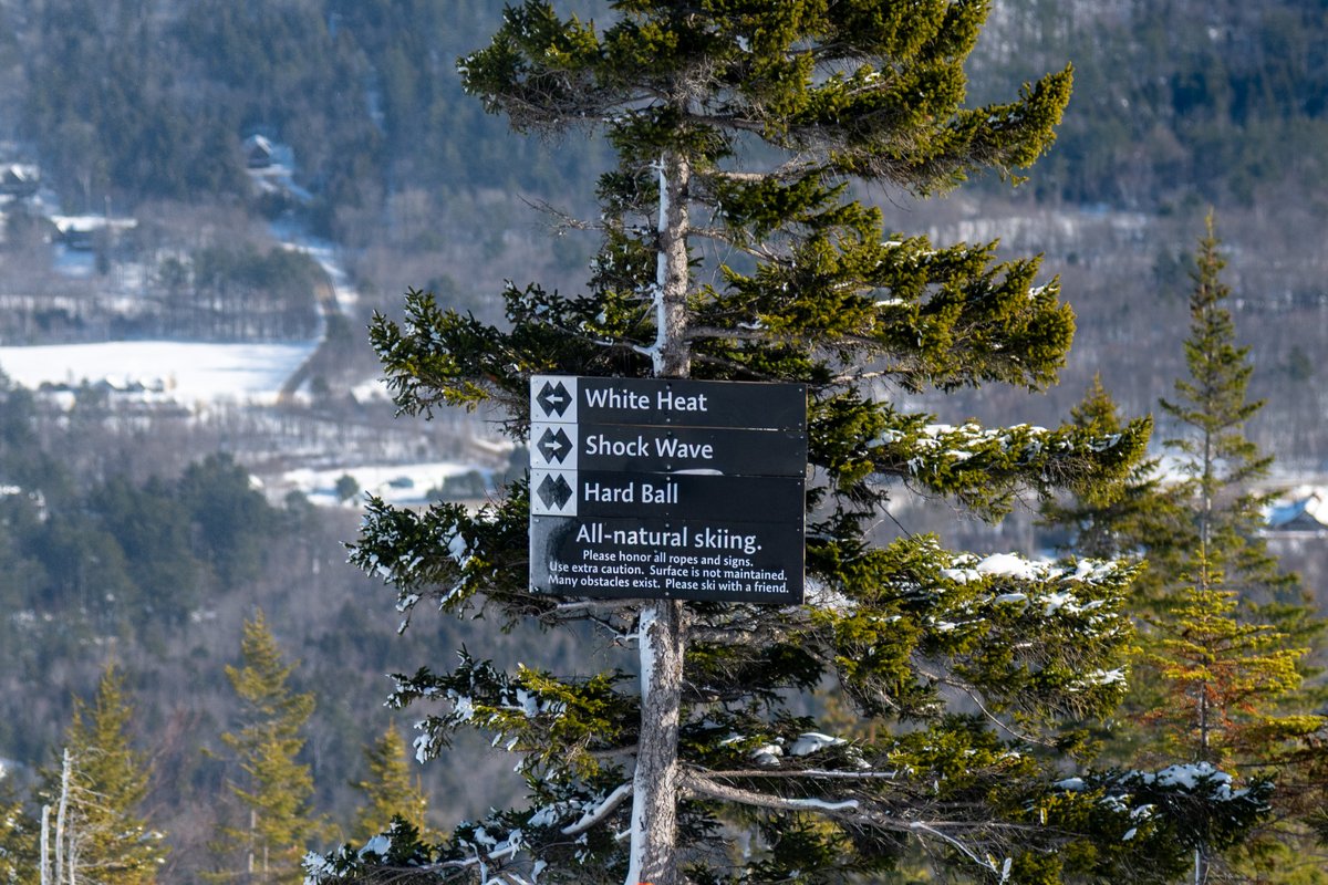 sundayriver's tweet image. White Heat has entered the chat.