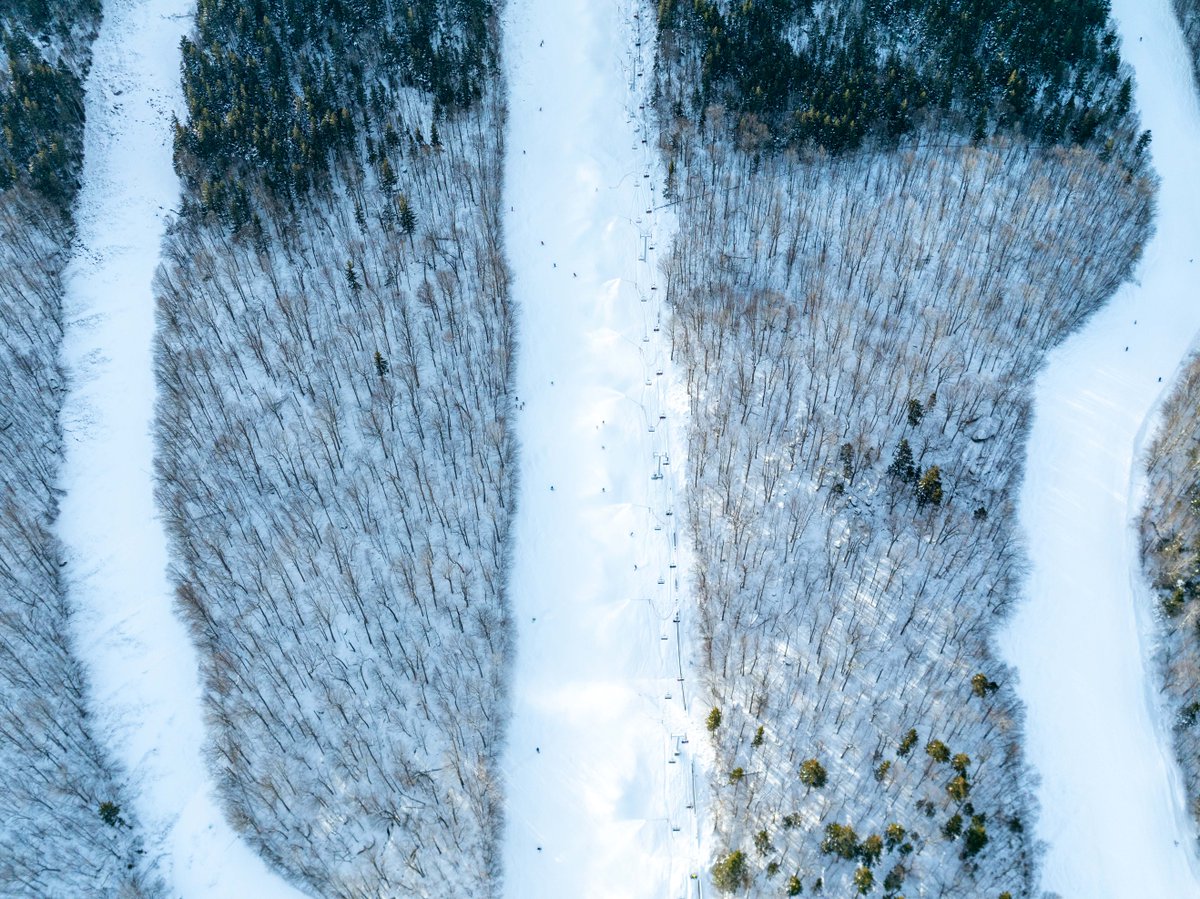 sundayriver's tweet image. White Heat has entered the chat.