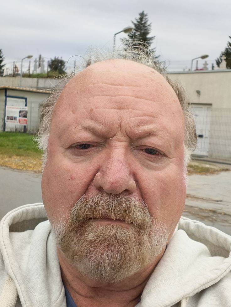 Truck driver tweet media